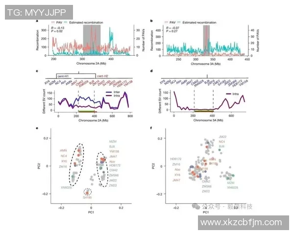南京排球队耐力表现数据分析揭示训练效果与比赛成绩的关系 南京排球队耐力表现数据分析揭示训练效果与比赛成绩的关系