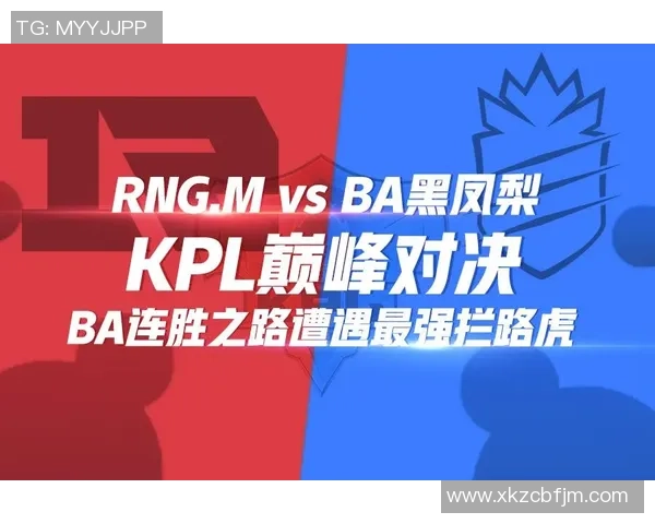 深入探讨RNG战队的默契配合与战术执行对比赛胜利的影响