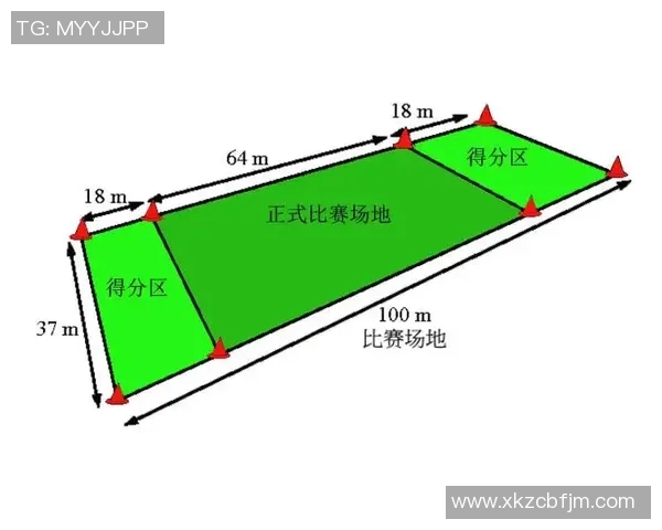 武汉极限运动队战术分析与发展策略探讨