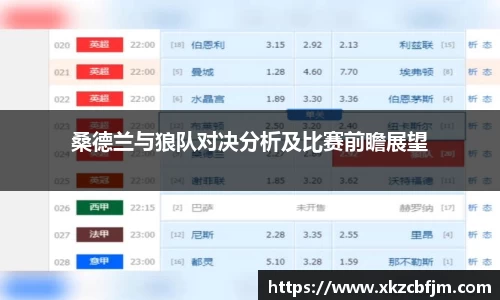 桑德兰与狼队对决分析及比赛前瞻展望